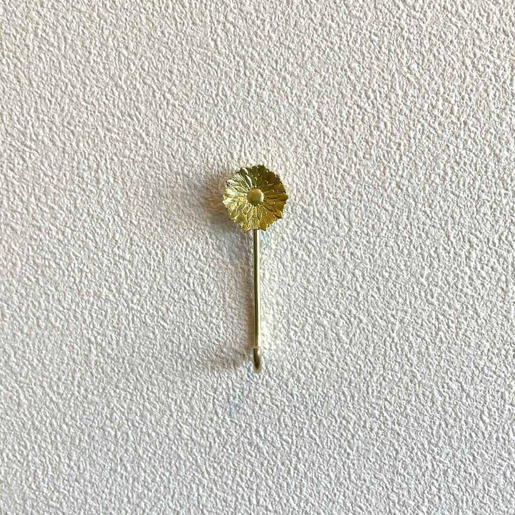 Wall hookpin