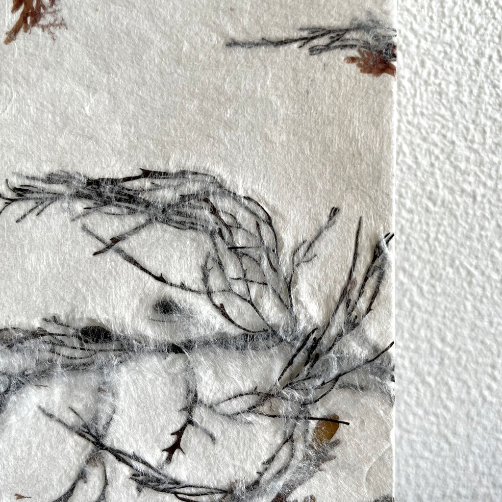 Japanese Binding Notebook - Seaweed