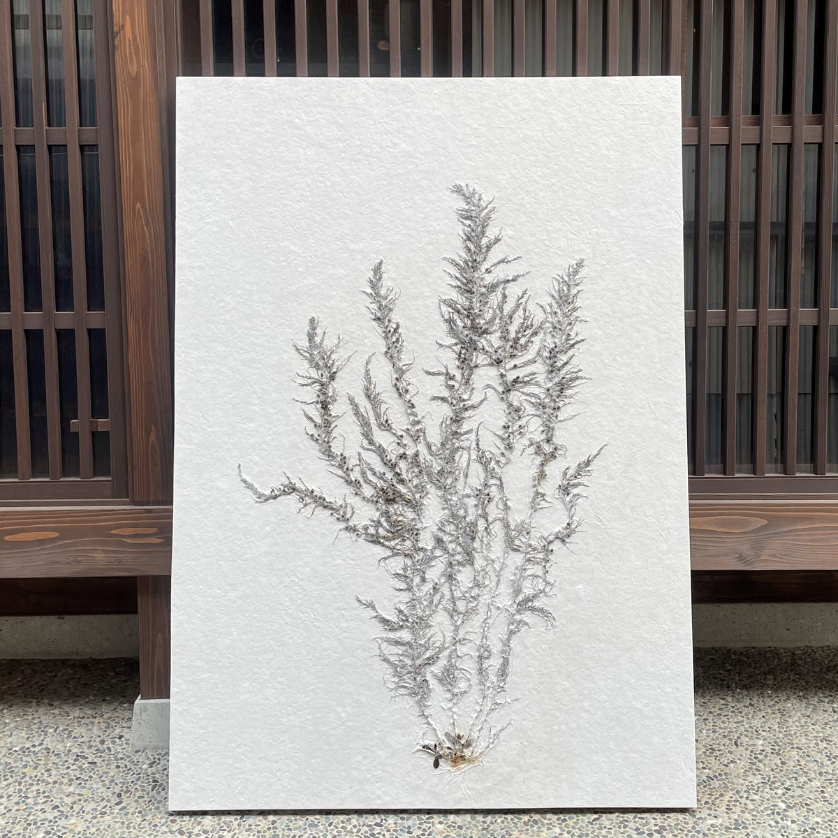 Art Panel size A0　海藻