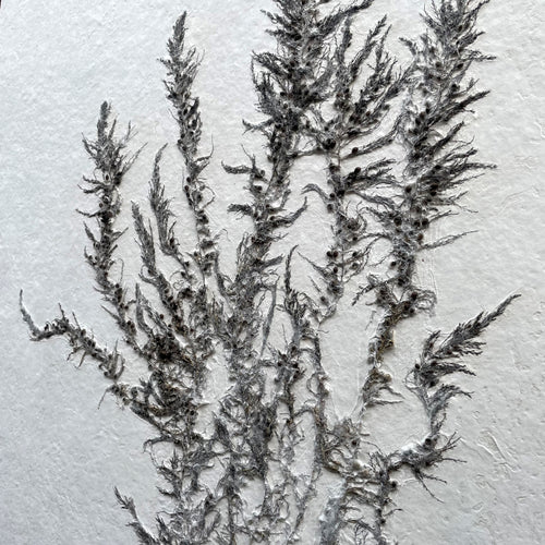 Art Panel size A0 Seaweed