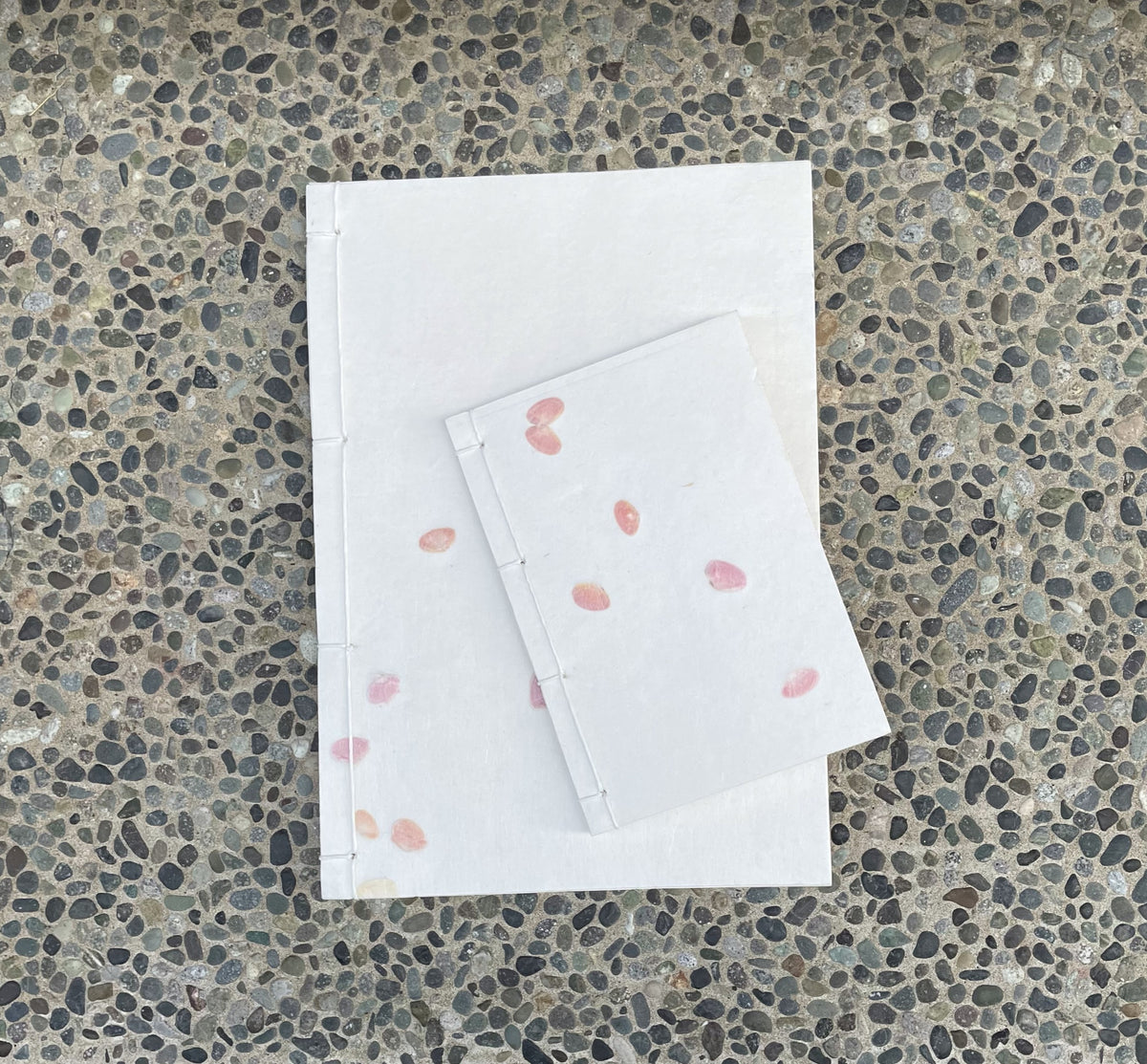 和綴じノート  桜貝